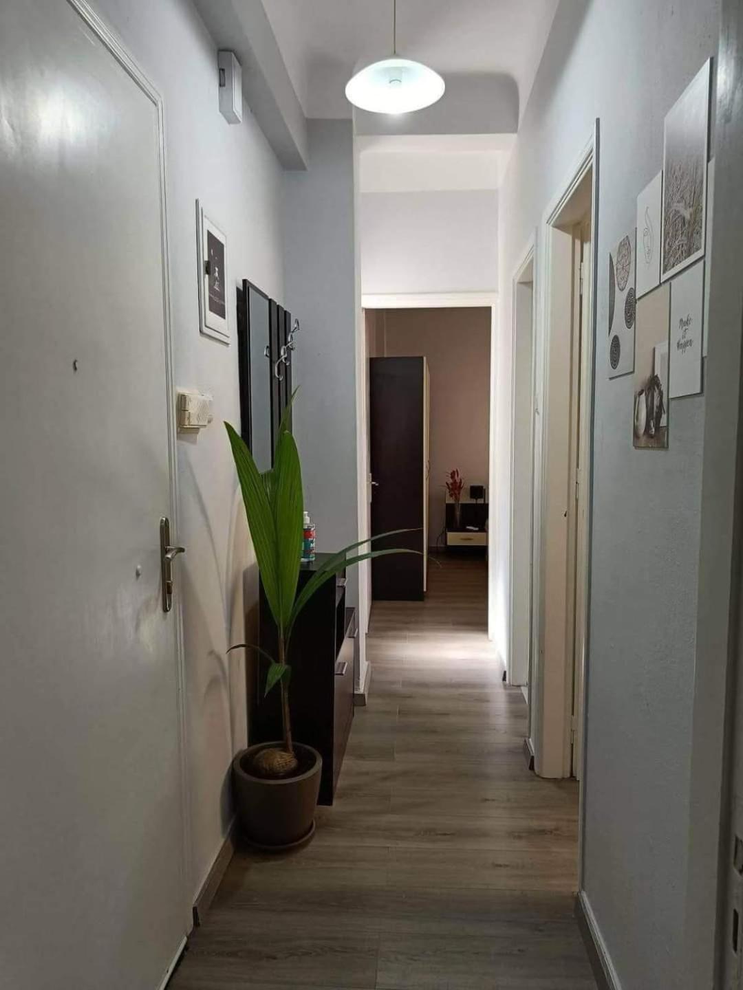 Helena's House